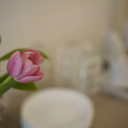 Siracusa Holidays Bed & Breakfast Syracuse
